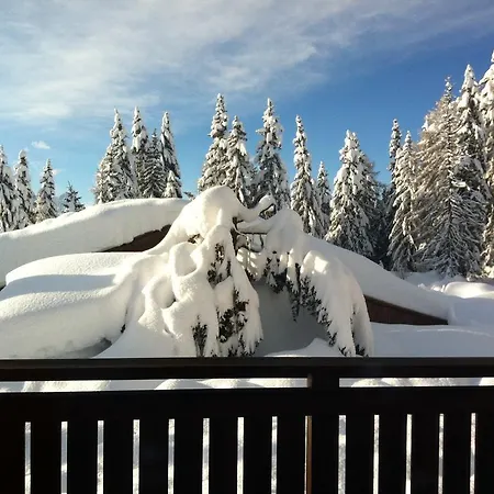 Apartman Faschingalm *